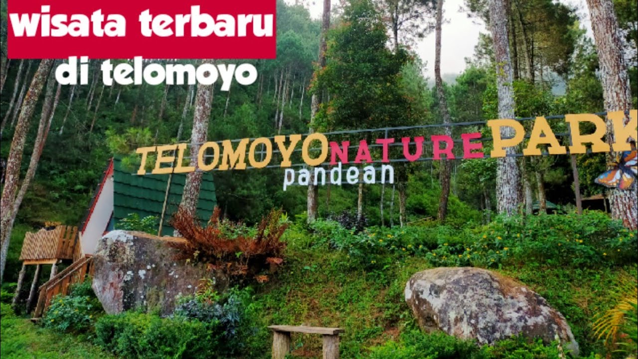 Telomoyo Nature Park: Petualangan Menakjubkan di Puncak Jawa Tengah